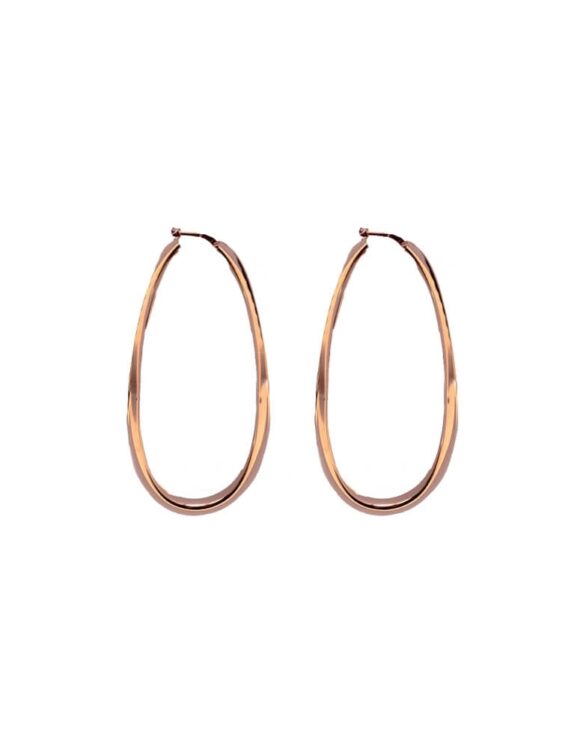 Silver Earrings 925-0