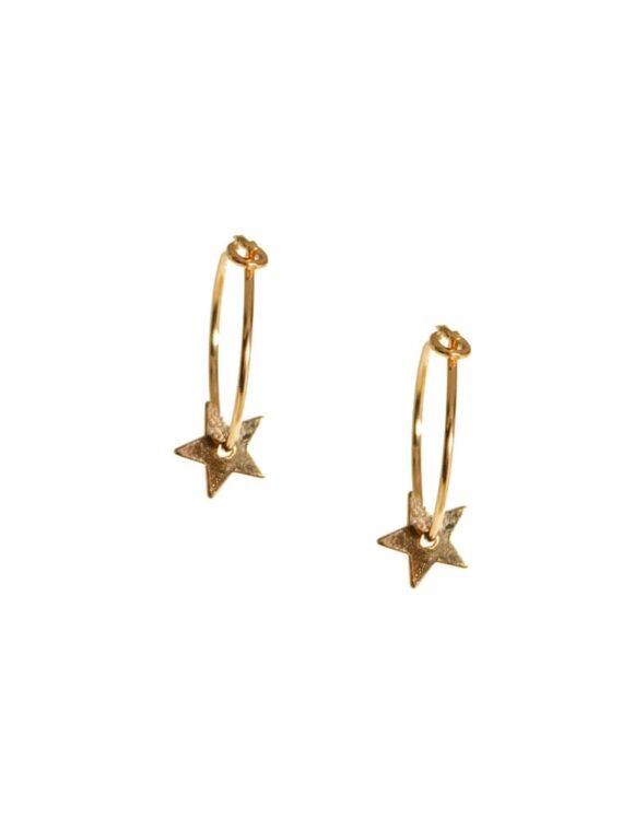 Gold K18 Earrings-0