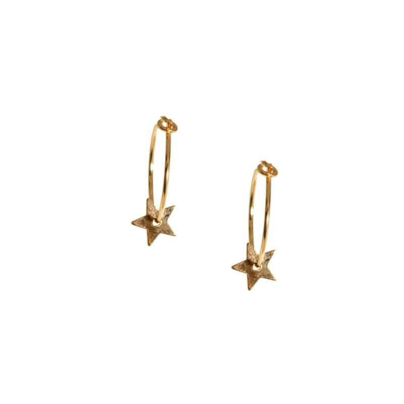 Gold K18 Earrings-0