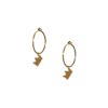 Gold K18 Earrings-0