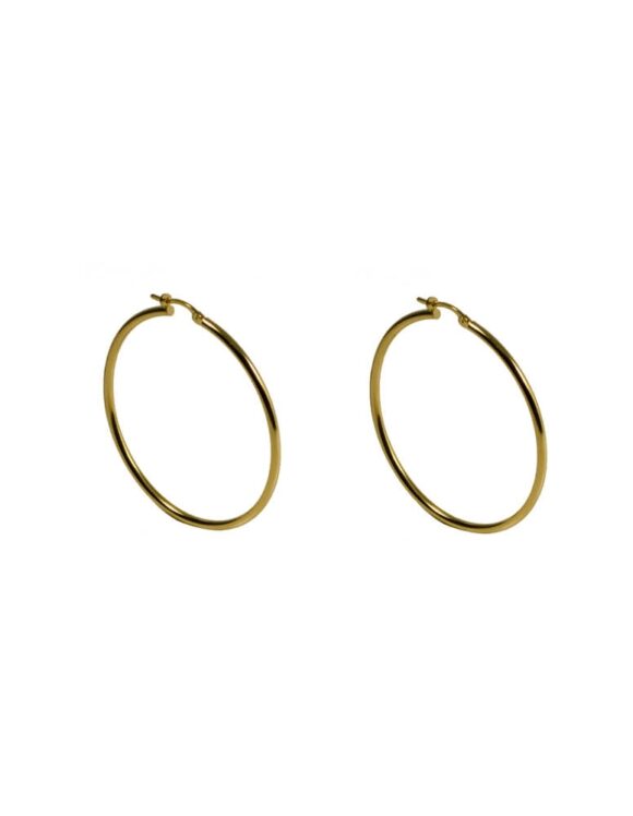 Gold K18 Earrings -0