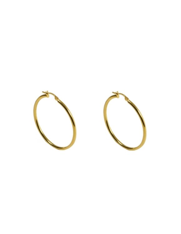 Gold K18 Earrings -0