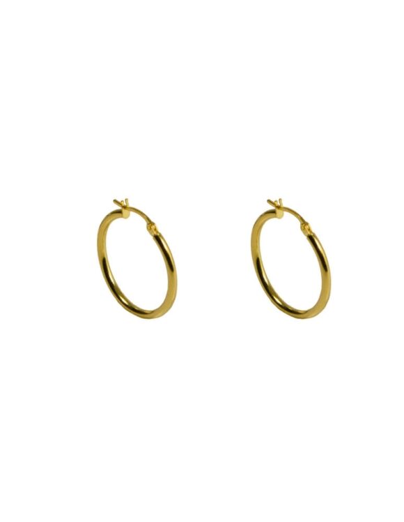 Gold K18 Earrings -0