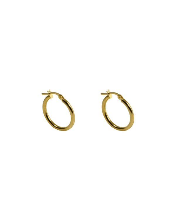 Gold K18 Earrings -0