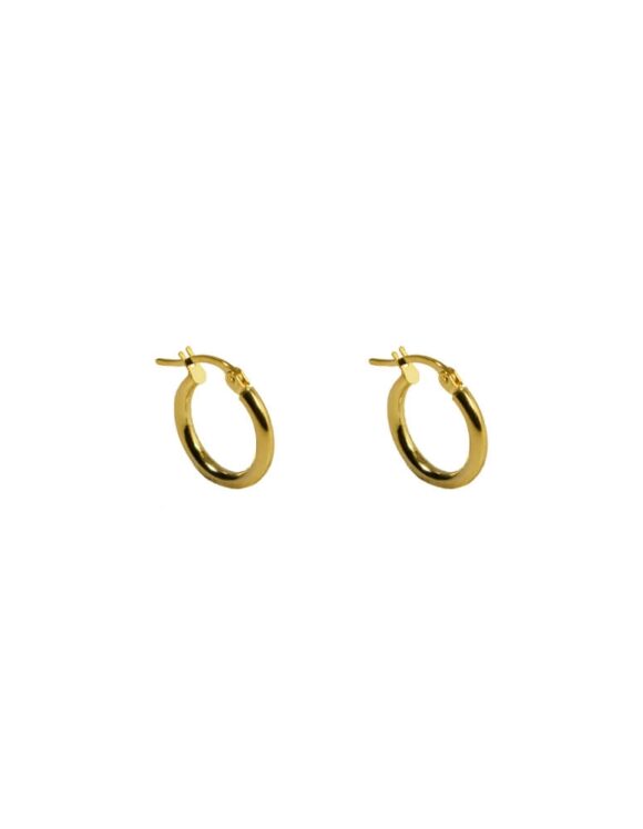 Gold K18 Earrings -0