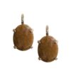 Silver Earrings 925, Agate-0